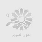 سئو به عنوان يكي از پولساز ترين روش ها